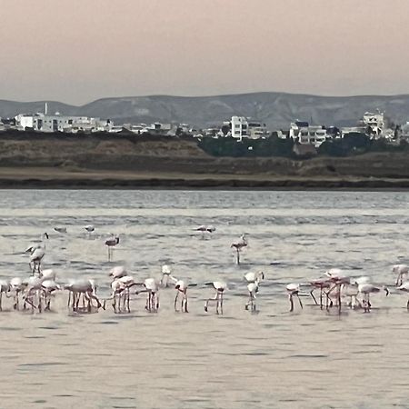 Salt Lake Ларнака Екстериор снимка